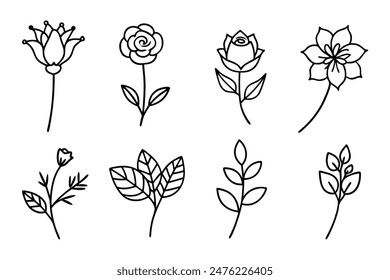 Set of hand drawn botanical flowers line art vector. Collection of foliage, leaf branches, floral, flowers, roses, and line art.