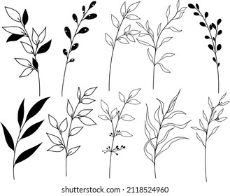 Set of hand drawn botanical illustrations. Isolated. Decorative elements. Black and white