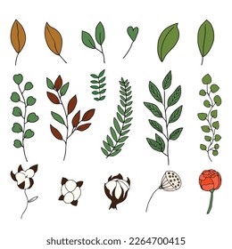 Set of hand drawn botanical leaf decoration element. cactus element line