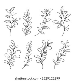 Conjunto de coleção de arte de linha botânica desenhada à mão. silhueta folha e flor.doodle folhas ramificação. clip art folhas ramos elemento