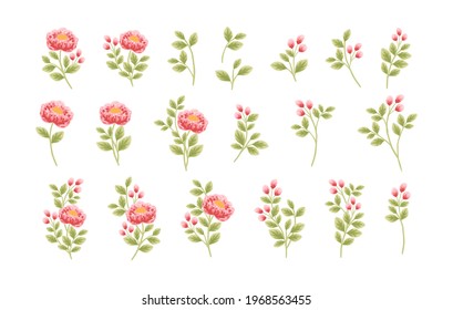 Set of hand drawn botanical peony flowers and leaf elements