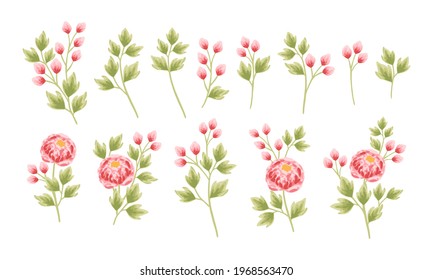 Set of hand drawn botanical peony flowers and leaf elements