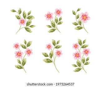Set of hand drawn botanical peony flowers and leaf elements for wedding decoration, greeting card, invitation, feminine beauty floral logo