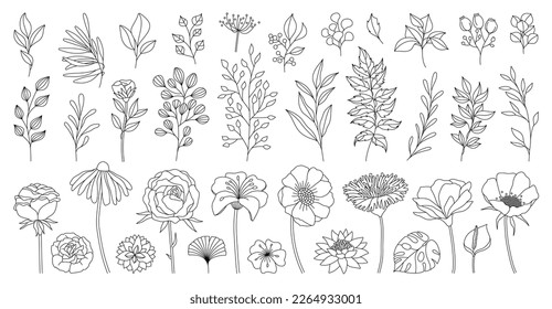 Set of hand drawn botanical plants. minimal Doodle design elements, trendy tiny tattoo design, floral botanic elements vector illustration