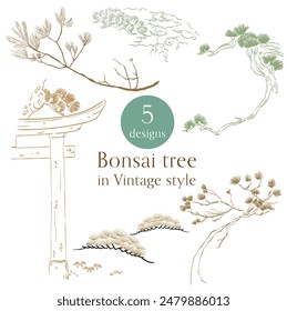 Set von Hand gezeichneter Zweig des Bonsai-Baums mit japanischer Muster-Vektorgrafik. Orientalische Kieferndekoration mit Logo-Design, Flyer oder Präsentation im Vintage-Stil.