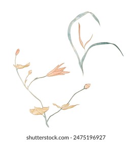 Set of hand drawn branch of leaves and flowers elements with natural pattern vector. Oriental decoration with watercolor painting texture in vintage style.	
