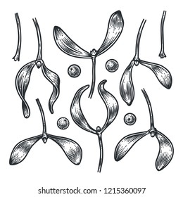 Set of hand drawn branches and berries of mistletoe, engraved botanical decor. Vector sketch illustration isolated on white background for greeting card, banner, website and holiday decor