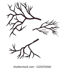 Set of hand drawn branches. Ink illustration. The branches of a tree without leaves vector. Branch Silhouette. Vector illustration.  