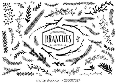 Set of hand drawn branches. Ink illustration.