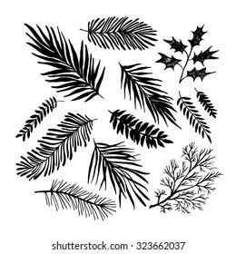 Set of hand drawn branches. Ink illustration. Collection of plants.
