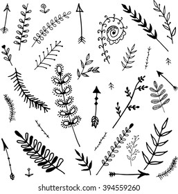 Set of hand drawn branches. Ink illustration.
