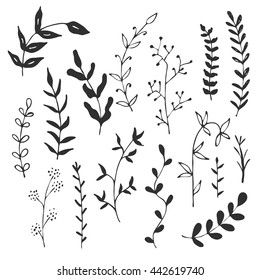 Set of hand drawn branches. Ink illustration.