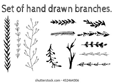 Set of hand drawn branches. Ink illustration. Vector objects.