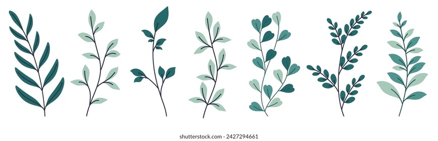 Set of hand drawn branches isolated on white background.Beautiful doodle collection of leaves. Vector flat leaves