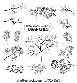 A set of hand drawn branches of trees and plants. Ink drawing.