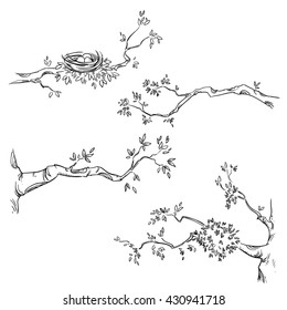 Set of hand drawn branches, vector illustration