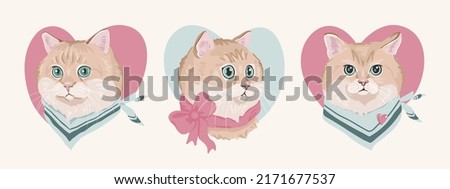 Similar – Image, Stock Photo Cute British shorthair golden cat sitting on wooden surface at home while looking at camera