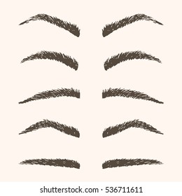 Set hand drawn brown eyebrows. Isolated vector brow.