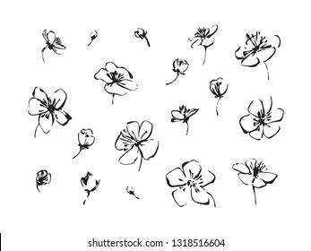 Set of hand drawn brush paint cherry blossoms. Sakura outline flowers painting by ink. Black isolated vector on white background.