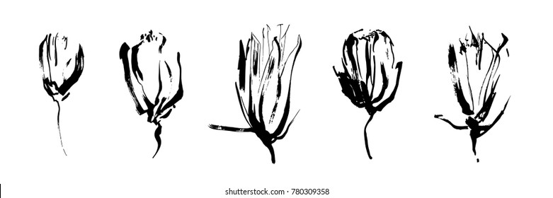 Set of hand drawn brush paint flowers painted by ink. Grunge style elements for modern design.  Black isolated vector on white background.