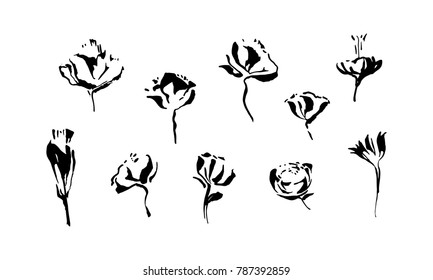 Set of hand drawn brush paint flowers painted by ink. Grunge style abstract elements for design. Black isolated vector on white background.