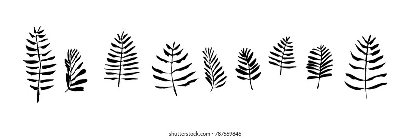 Set of hand drawn brush paint leaves painted by ink. Grunge style abstract elements for design. Black isolated vector on white background.