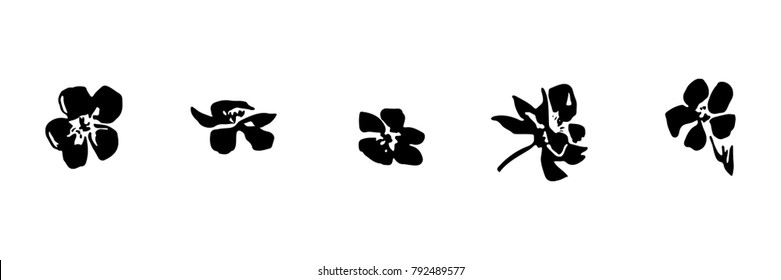 Set of hand drawn brush paint cherry blossoms. Sakura flowers painted by ink. Black isolated vector on white background.