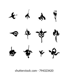 Set of hand drawn brush paint vintage flowers. Grunge style elements for design painted by ink. Black isolated vector on white background.