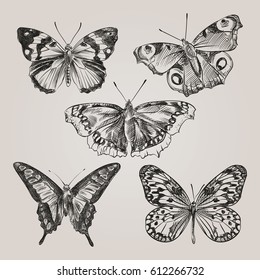 Set of hand drawn butterflies isolated on white background. Butterfly in sketch style. Retro hand-drawn vector illustration.