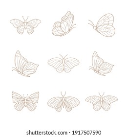 Set of hand drawn butterflies. Vector illustration