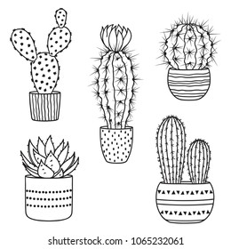 Set of hand drawn cacti in pots