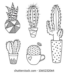 Set of hand drawn cacti in pots