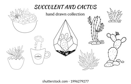 Set of hand drawn cacti and succulents. Collection of plants in pots. Spiny desert plants, cactus flowers and tropical plants. Hand-drawn illustration in a sketch style.