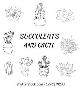 Set of hand drawn cacti and succulents. Collection of plants in pots. Spiny desert plants, cactus flowers and tropical plants. Hand-drawn illustration in a sketch style.