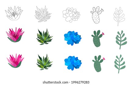 Set of hand drawn cacti and succulents. Spiny desert plants, cactus flowers and tropical plants. Vector collection of doodle plants.