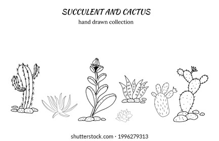 Set of hand drawn cacti and succulents. Spiny desert plants, cactus flowers and tropical plants. Hand-drawn illustration in a sketch style.
