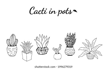 Juego de cactus dibujados a mano y suculentos. Colección de plantas en macetas. Plantas de desierto espinosas, flores de cactus y plantas tropicales. Ilustración dibujada a mano en un estilo de esbozo.
