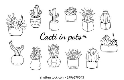 Juego de cactus dibujados a mano y suculentos. Colección de plantas en macetas. Plantas de desierto espinosas, flores de cactus y plantas tropicales. Ilustración dibujada a mano en un estilo de esbozo.