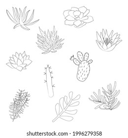 Handgezeichnete Kakteen und Sukkulente. Spiny Wüstenpflanzen, Kaktus Blumen und tropische Pflanzen. Vektorgrafik von Doodle-Pflanzen.