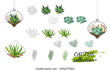 Set of hand drawn cacti and succulents. Spiny desert plants, cactus flowers and tropical plants. Vector collection of doodle plants.