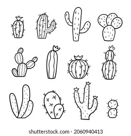 Set of hand drawn cactus. Doodle sketch. Collection of exotic plants. Vector linear illustration.