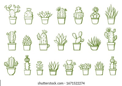 Cute Cactus Set Different Types Cacti Stock Vector (Royalty Free ...