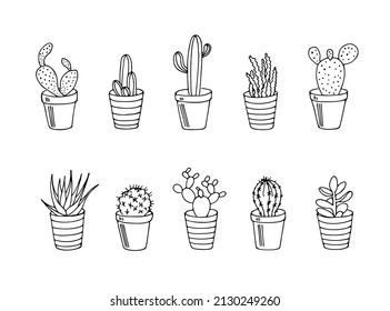 Set of hand drawn cactus in the pots. Vector illustration black and white home plants.