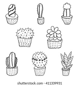 set of hand drawn cactus and succulent, ink sketch illustration, vector