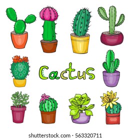 Set of hand drawn cactus and succulent with bright colors and flowers in the colorful pots. Vector illustration. Cartoon style