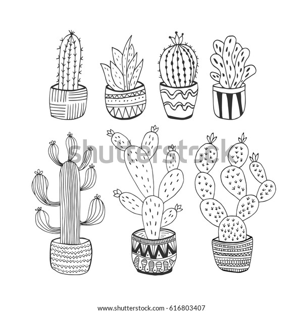 Set of hand drawn cactus. 