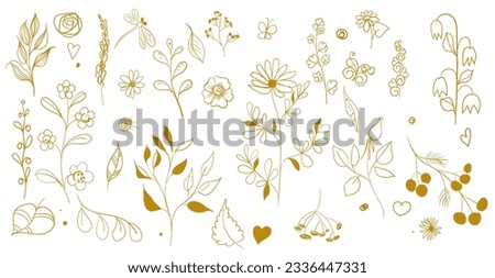 Set of hand drawn calligraphic floral elements
 golden color. Vector illustration