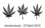 Set of hand drawn cannabis leaf Medicine marijuana Hemp leaves clipart in doodle style Single element for print, web, design, decor