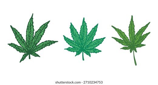 Conjunto de hoja de cannabis dibujado a mano Medicina marihuana Hojas de cáñamo Clipart en estilo doodle Un solo elemento para impresión, Web, diseño, decoración