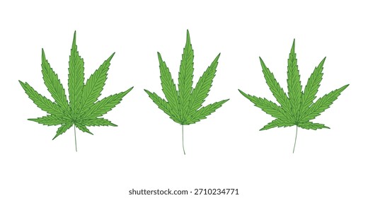 Conjunto de hoja de cannabis dibujado a mano Medicina marihuana Hojas de cáñamo Clipart en estilo doodle Un solo elemento para impresión, Web, diseño, decoración